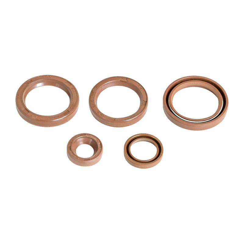 High Temperature Resistant FKM Framework Oil Seal